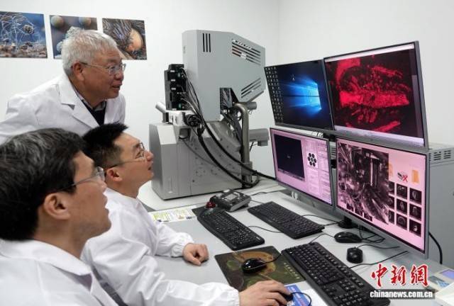 中国发现5亿年前花垣生物群揭开生物大灭绝面纱